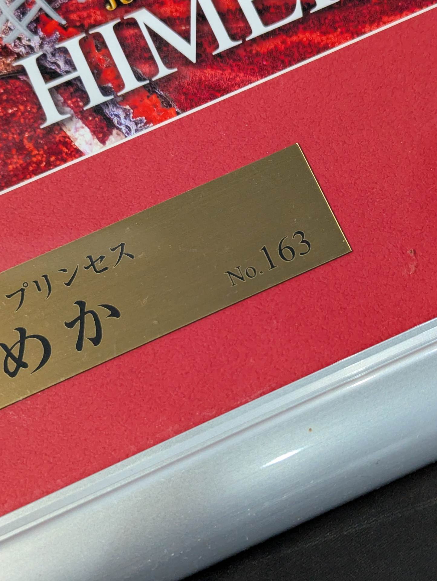 ひめか直筆サイン入り 引退記念フォトフレーム ジャンボ・プリンセス