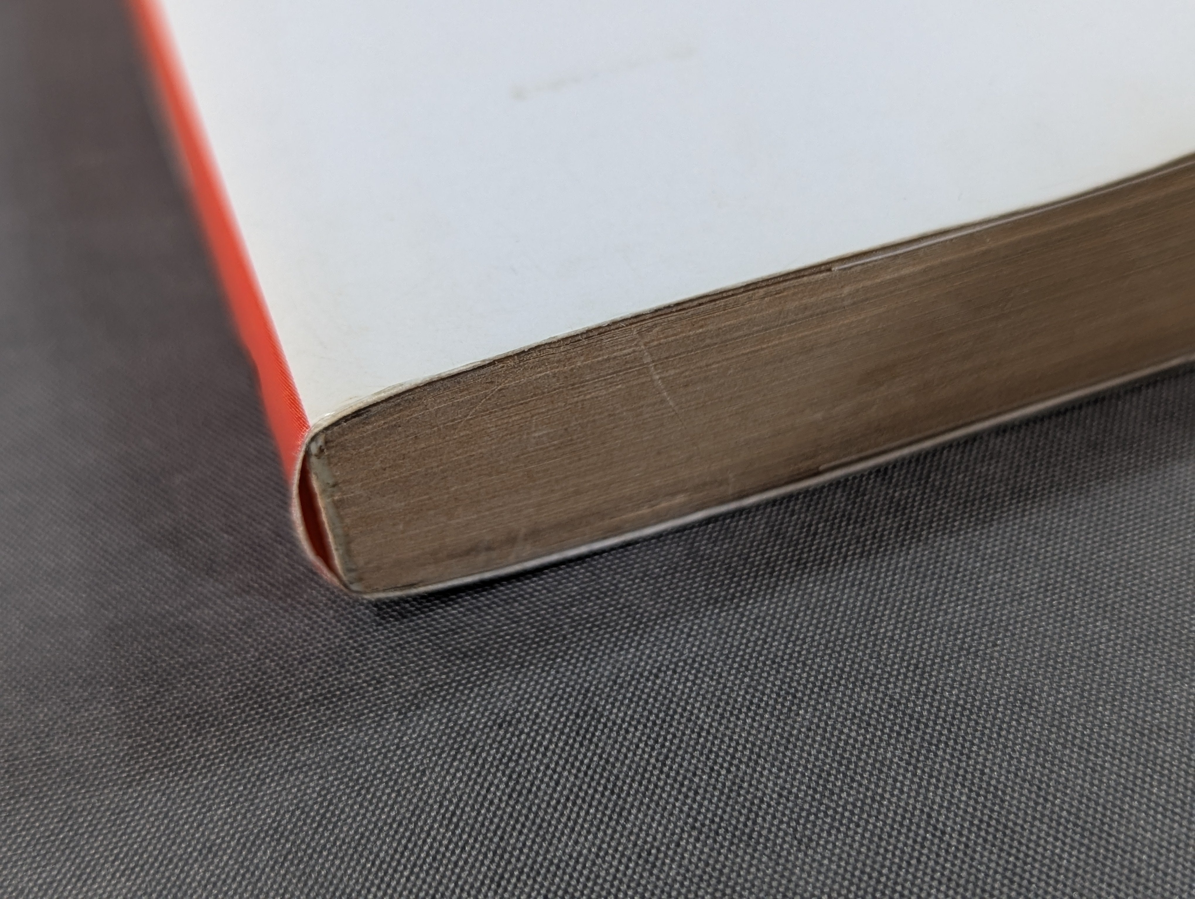 プロレス少女伝説 – 闘道館