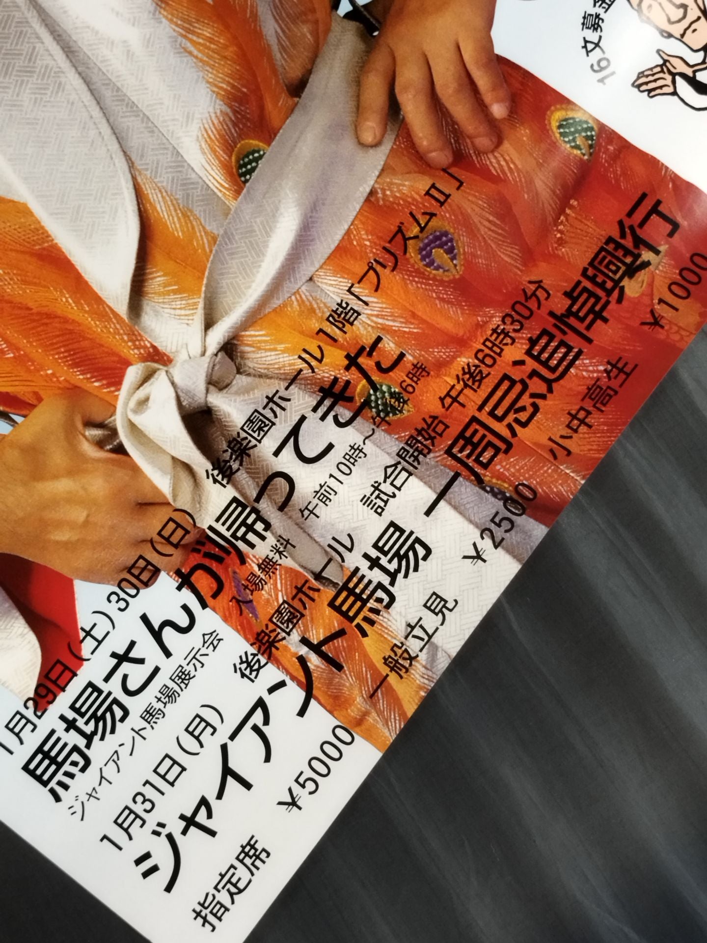 ☆馬場さんが帰ってきた☆ ジャイアント馬場一周忌追悼興行 – 闘道館