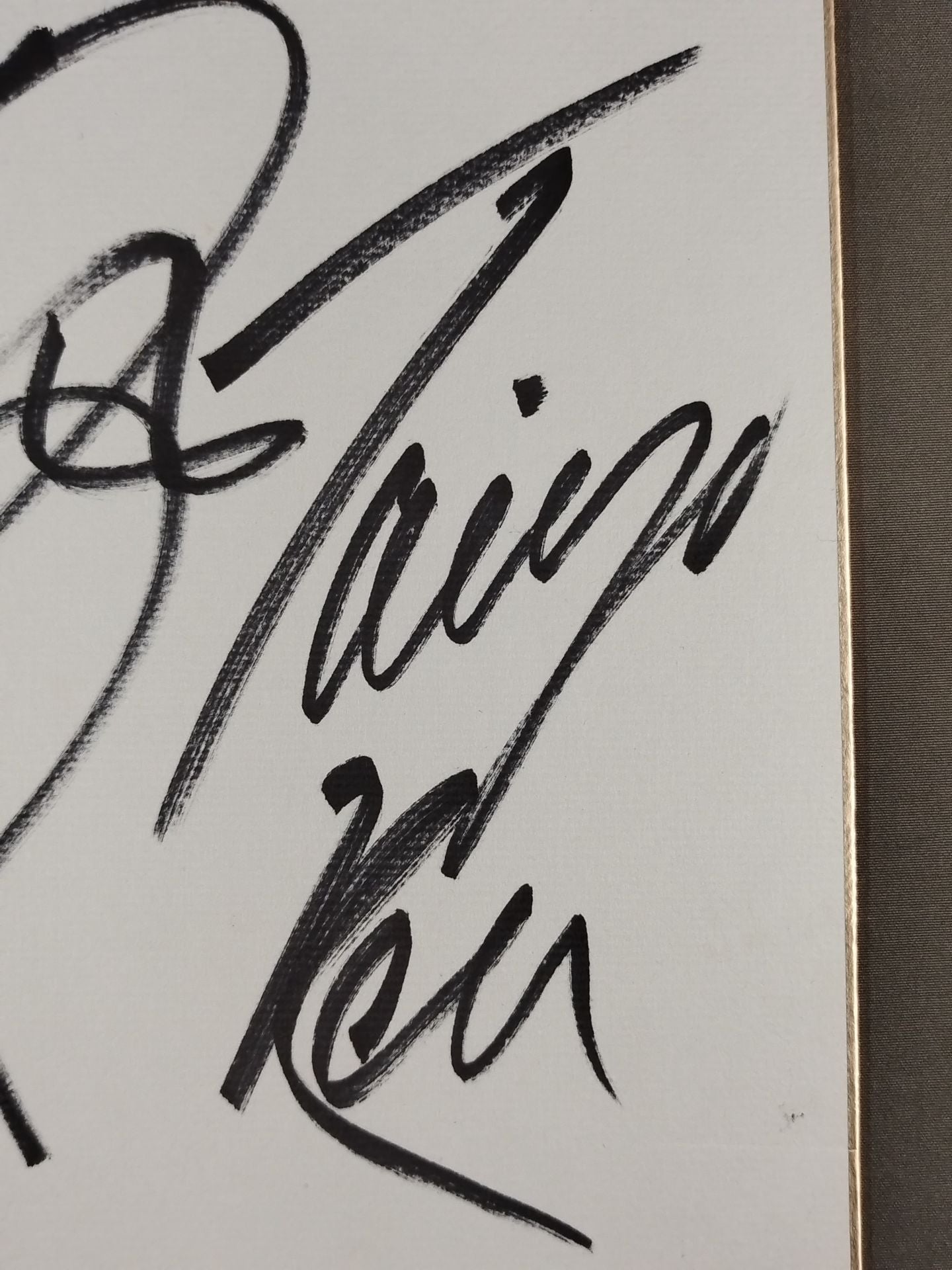 ☆BATT☆ 武藤敬司＆馳浩＆太陽ケア – 闘道館