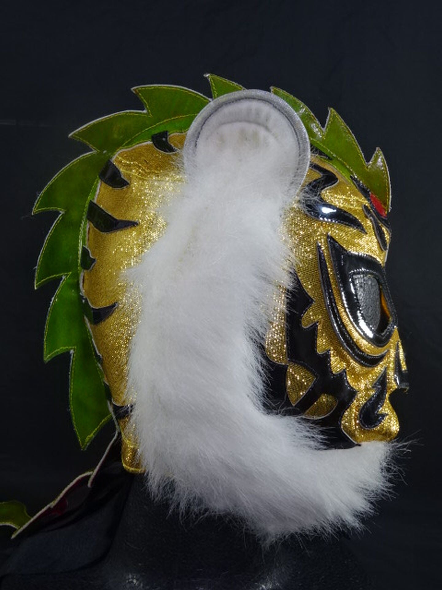 タイガーマスク＆ウルティモ・ドラゴン – 闘道館