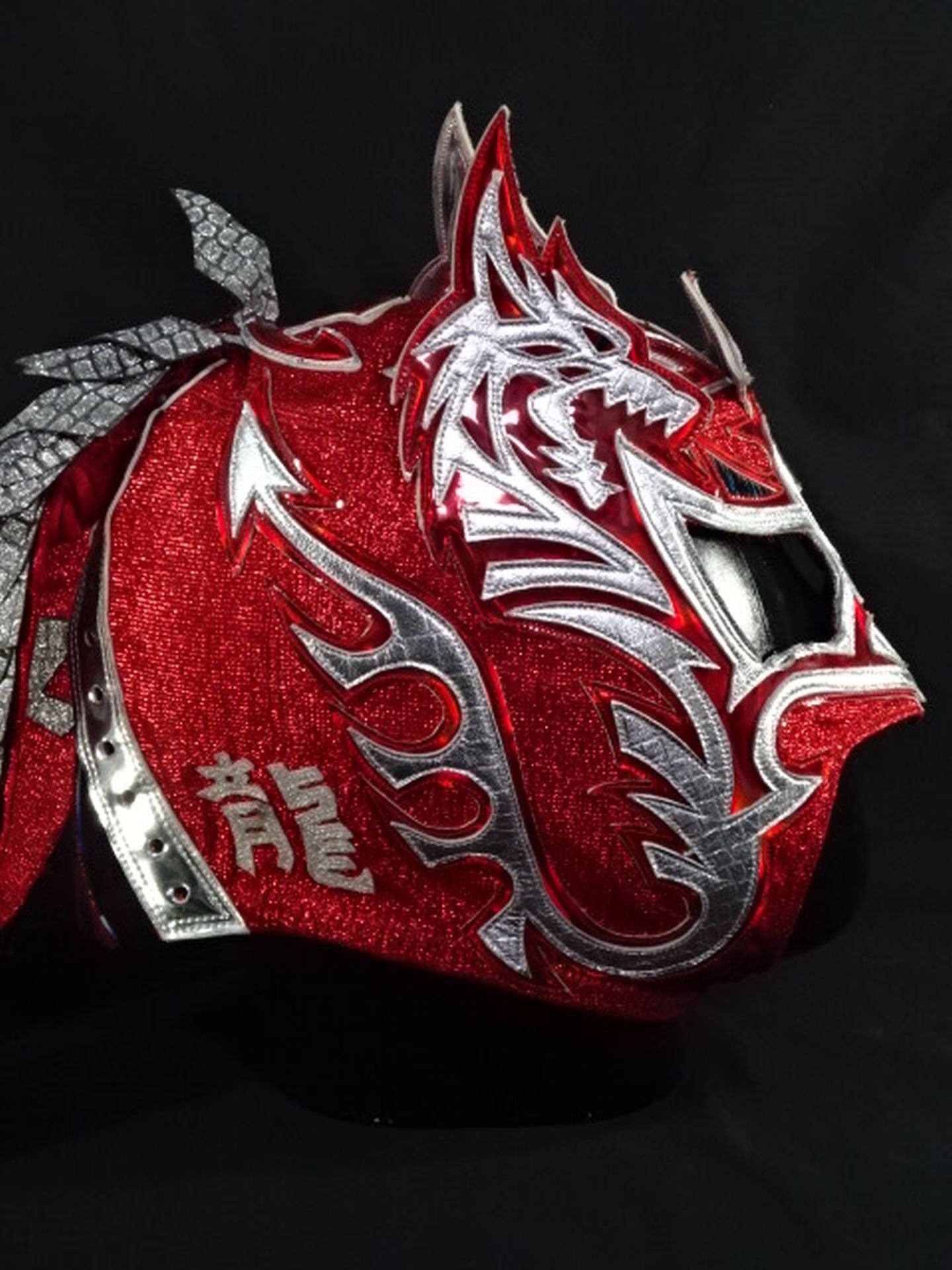 ドラゴン・リー ☆WWE NXT＆SMACKDOWN 実使用!!☆ – 闘道館