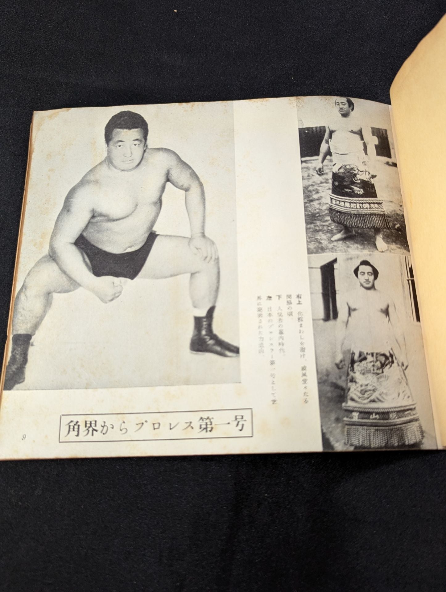 力道山アルバム プロレスの王者 – 闘道館