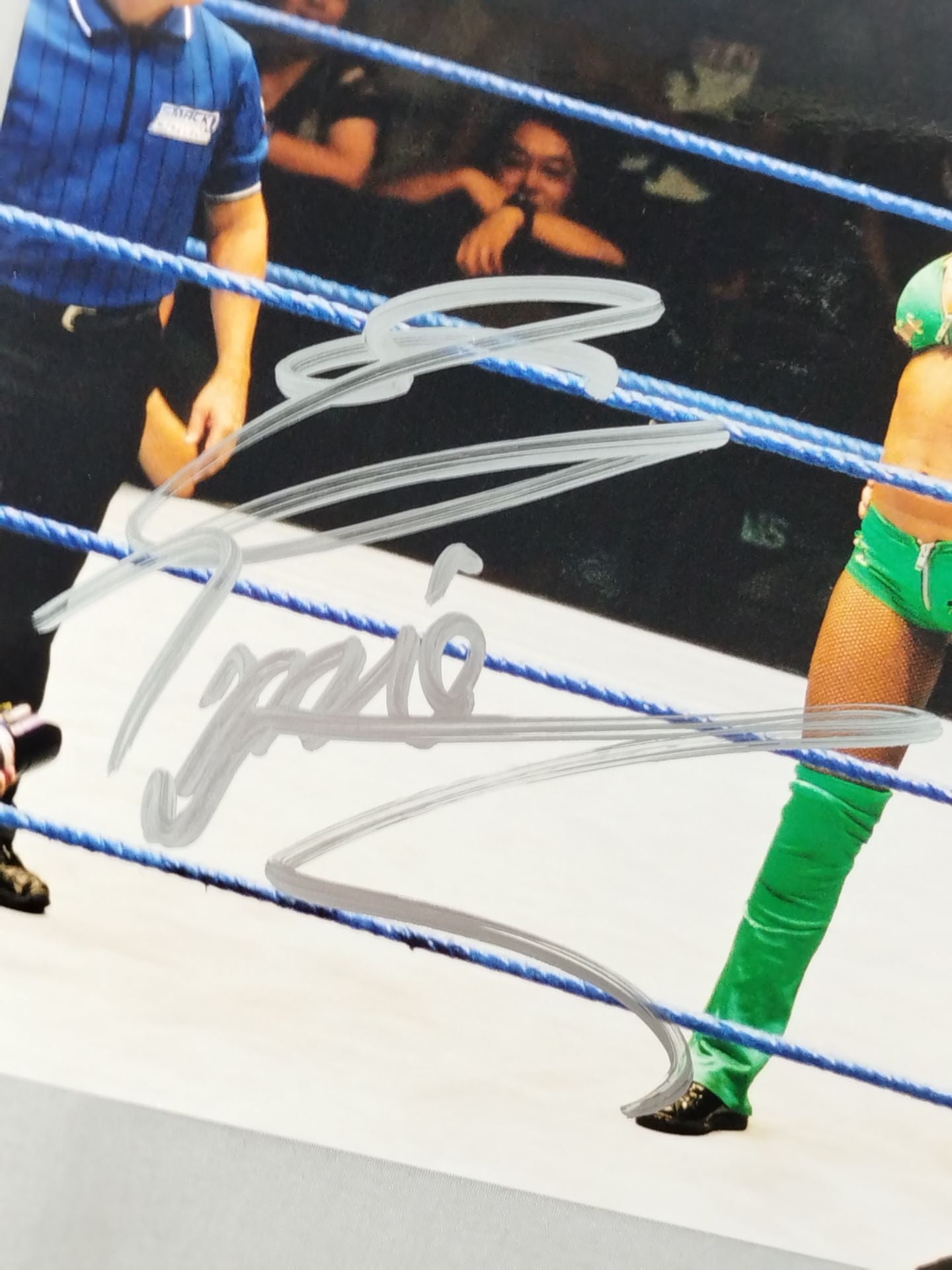 トリー・ウィルソン 直筆サイン入り大判生写真(A-1) – 闘道館