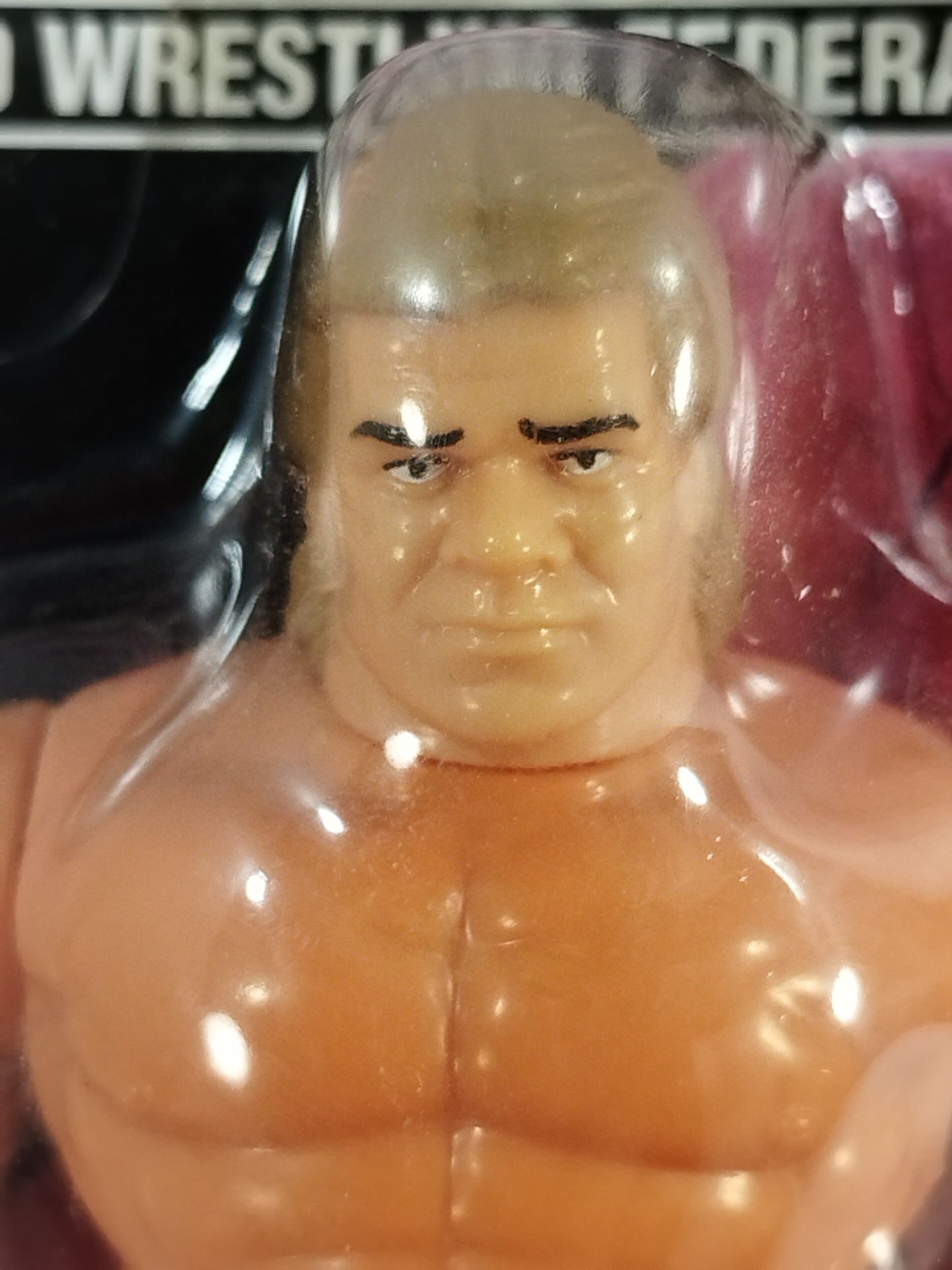 レックス・ルガー(シリーズ8) – 闘道館