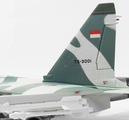 Witty Wings Su-30MK インドネシア空軍 第11飛行隊 ハサヌディン基地