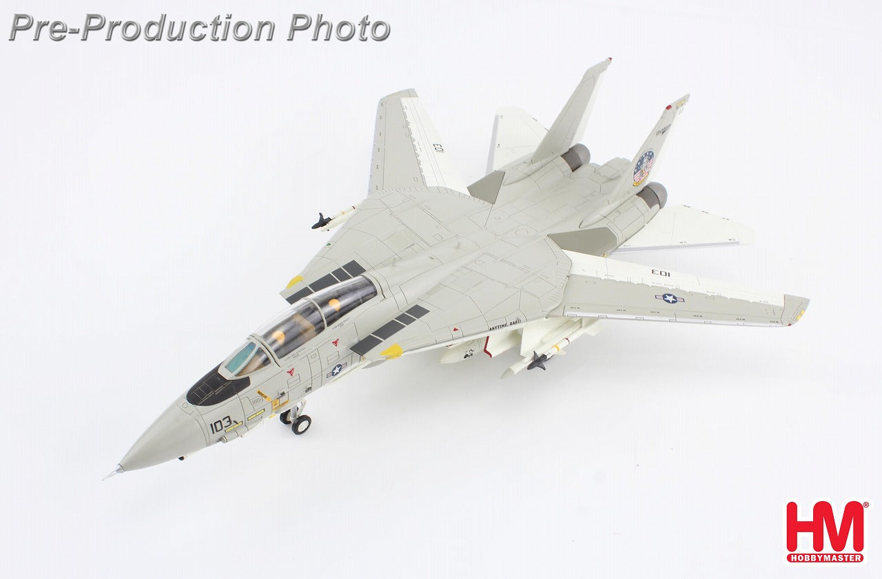 Hobby Master F-14D トムキャット VF-31 トムキャット・サンセット