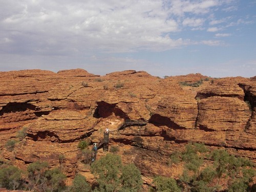 ピティ・パス キングスキャニオン付き! [トラベルドンキー] エアーズ