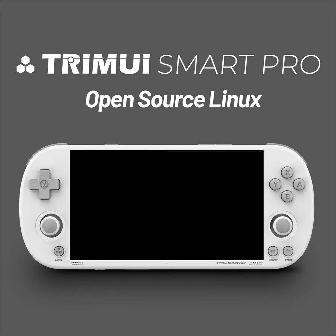 ToRetro- Trimui Smart Pro Handheld Retro Game Console