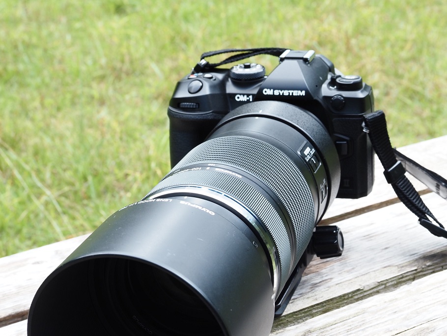 OM-1 MarkIIで野鳥撮影をするための超望遠レンズ | OM-1 Mark IIで野鳥撮影