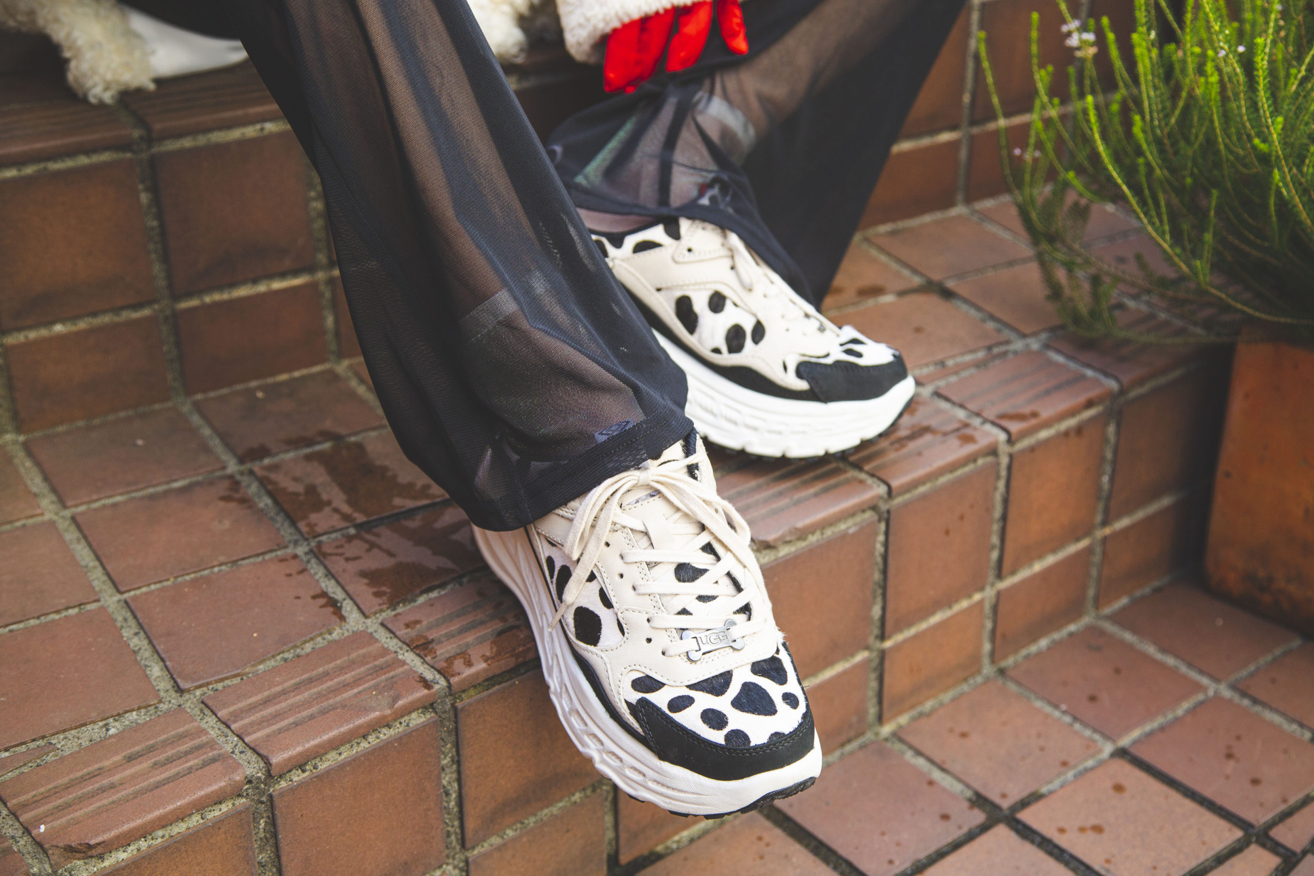 UGG@mosを中心に人気のダルメシアン柄アイテムシリーズ第二弾