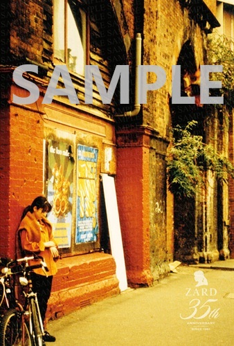 ZARD LIVE 2004 What a beautiful moment 30th Anniversary Year