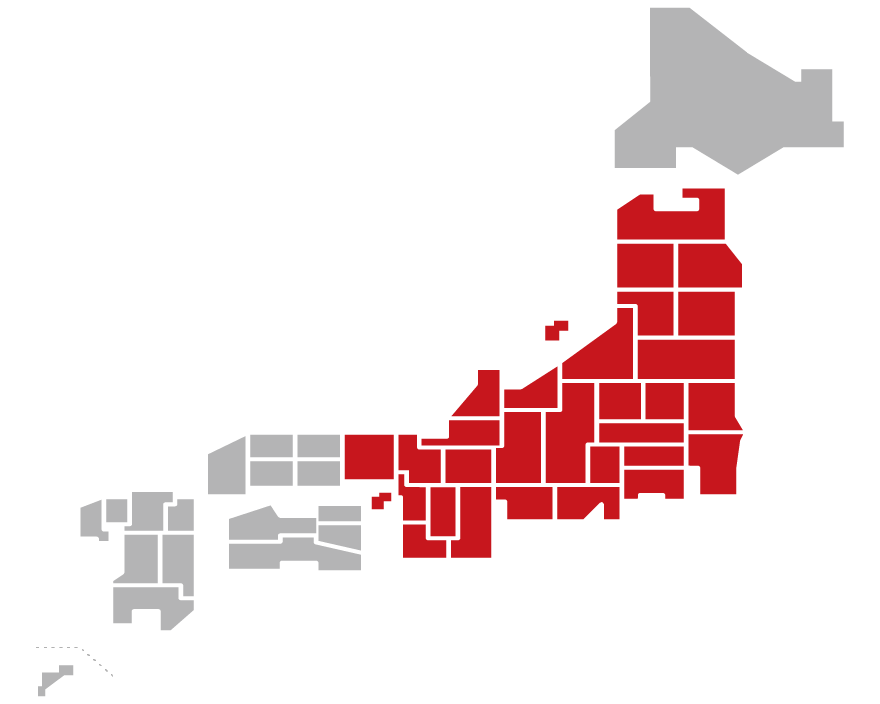 ノー・ダメージ 14のありふれたチャイム達 デラックス・エディション