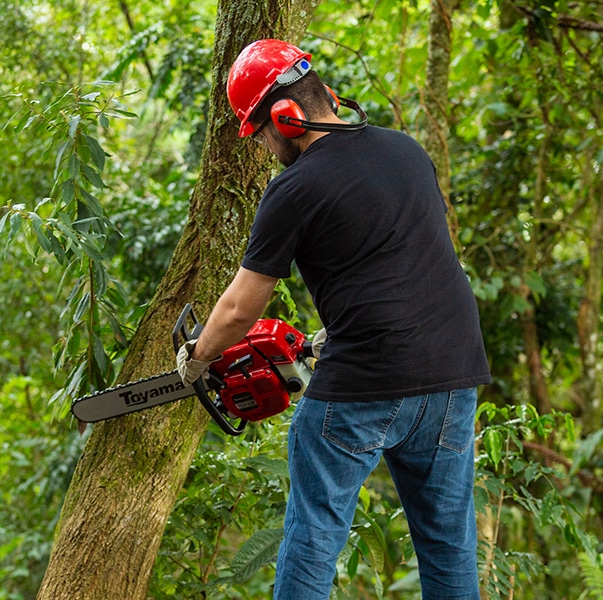 Motosserra a Gasolina - TCS72XP-16AT | Toyama