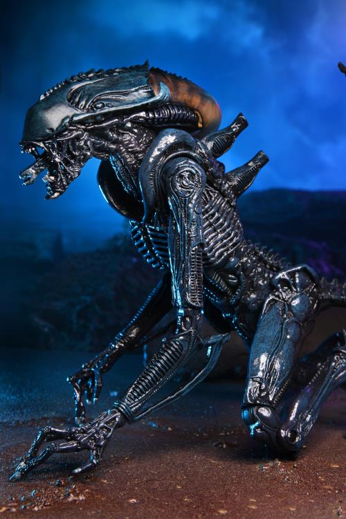NECA Alien vs. Predator Arachnoid Alien (Movie Deco) Action Figure