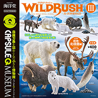 カプセルQミュージアム WILD RUSH 真・世界動物誌III～極地・北極圏編