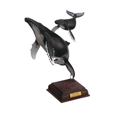 ネイチャーテクニカラー NTC 小笠原 特装版 【いきもん】