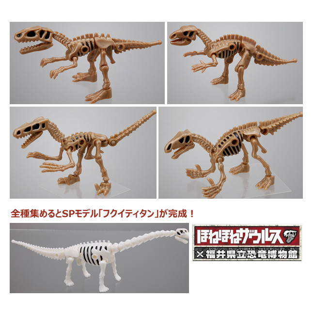 予約受付中】 ほねほねザウルス×福井県立恐竜博物館EX 2019年7月予定