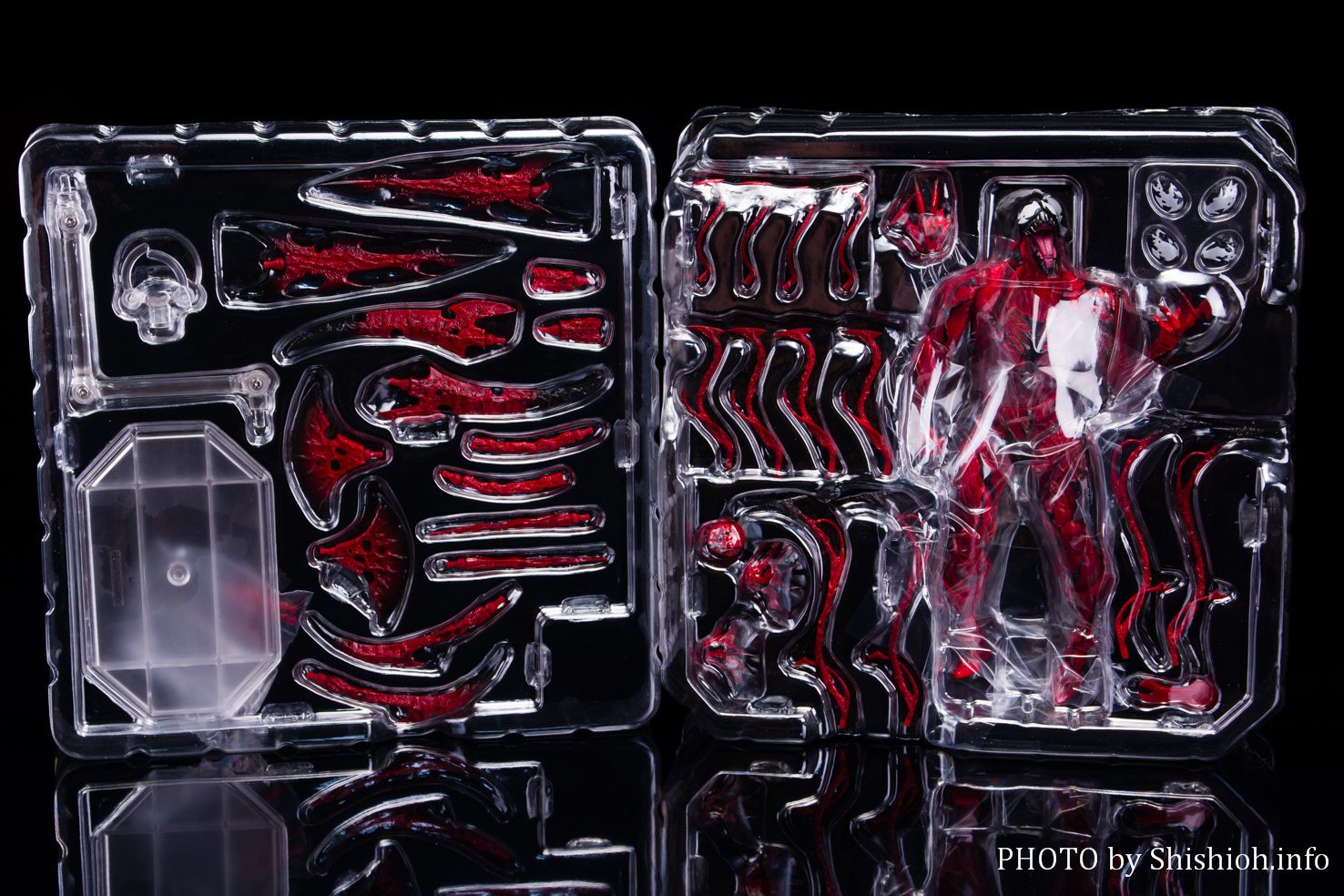 レビュー】Amazing Yamaguchi 008 カーネイジ