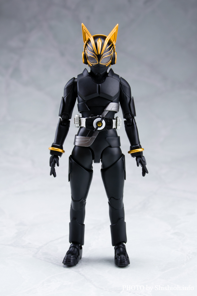 徹底レビュー】S.H.Figuarts 仮面ライダーナーゴ エントリーレイズ