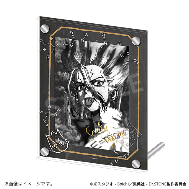 Dr.STONE 石神千空ブロマイド＋アクリルフォトフレーム Dr
