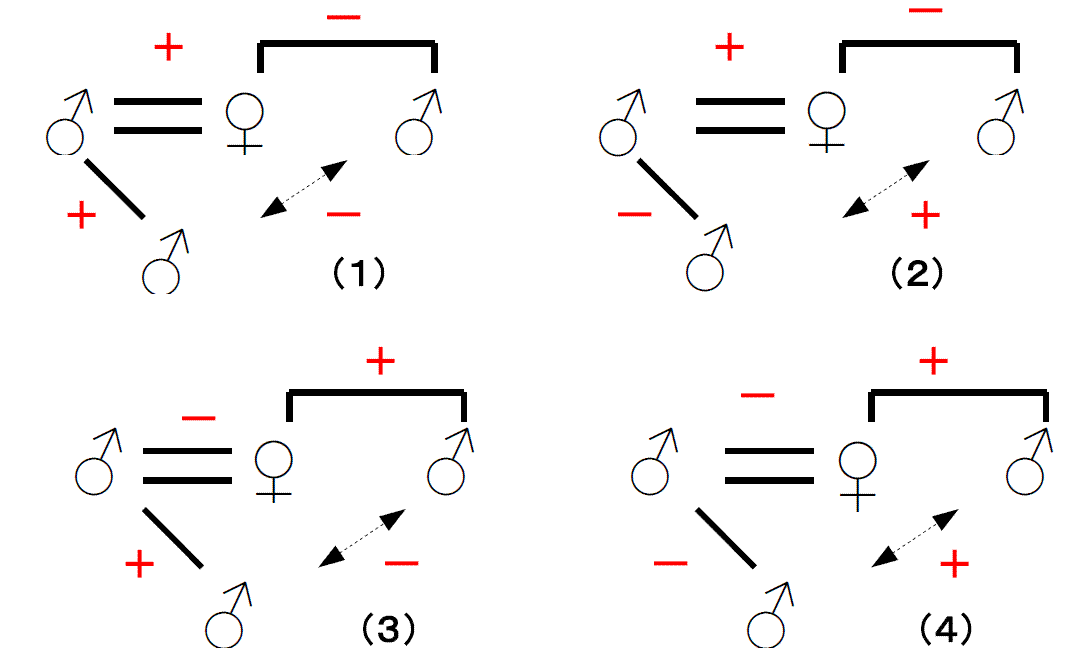 親族の基本構造』での群論＿（4）: T_NAKAの(新)阿房ブログ