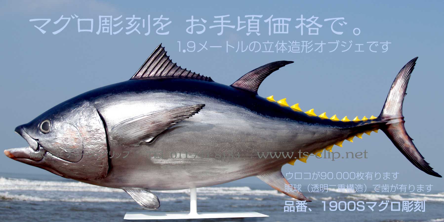 寿司看板一番人気マグロオブジェ1m90cm、迫力と注目度満点でお客様を