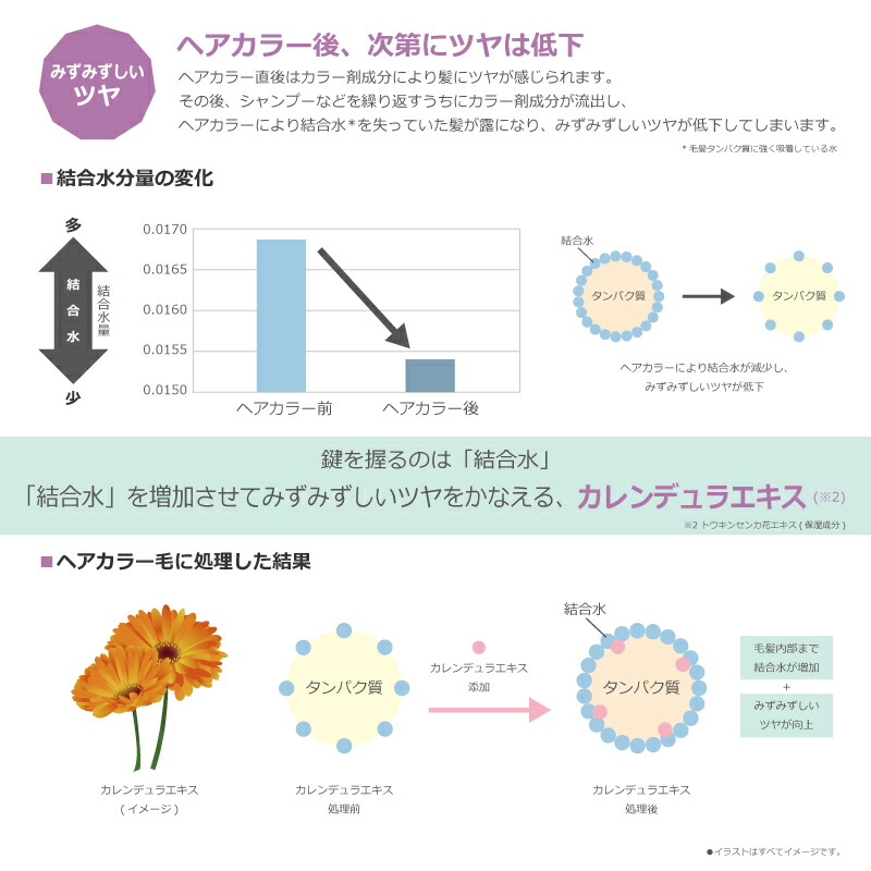 楽天市場】【3/1限定！抽選で100％ポイントバック】〈60〉【1＆1セット