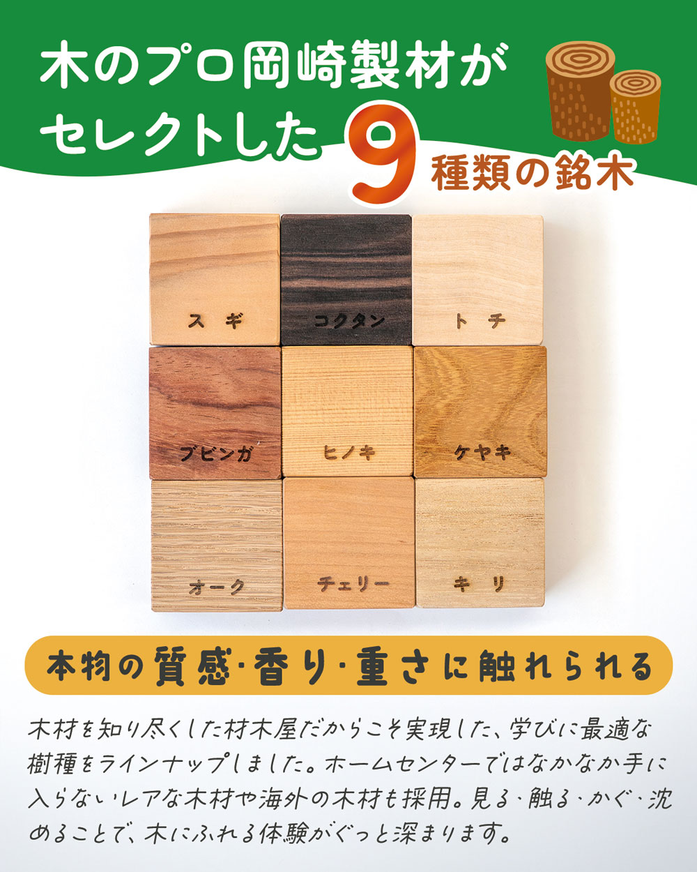 楽天市場】【ワークブック付き】木になる自由研究 夏休み 自由研究