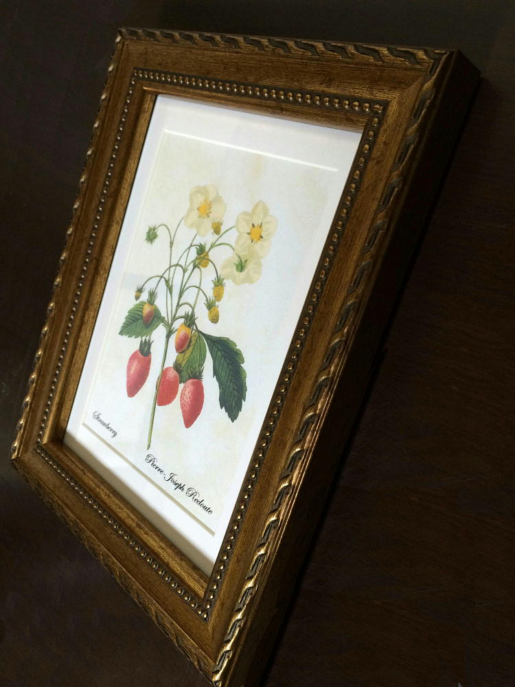 楽天市場】Pealimo インテリア 絵画 植物 ピエール ジョゼフ