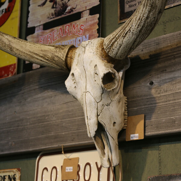 楽天市場】【大人気】【ダルトン】スティアヘッド（ステアーヘッド