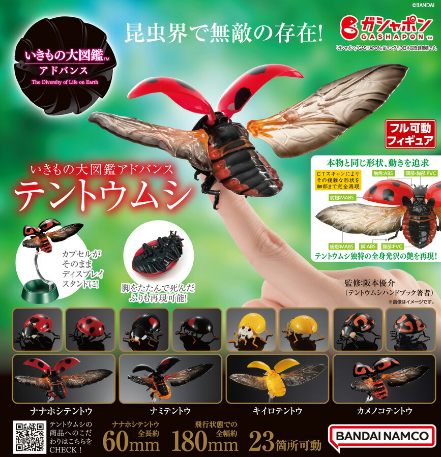 楽天市場】いきもの大図鑑アドバンス テントウムシ 全4種類