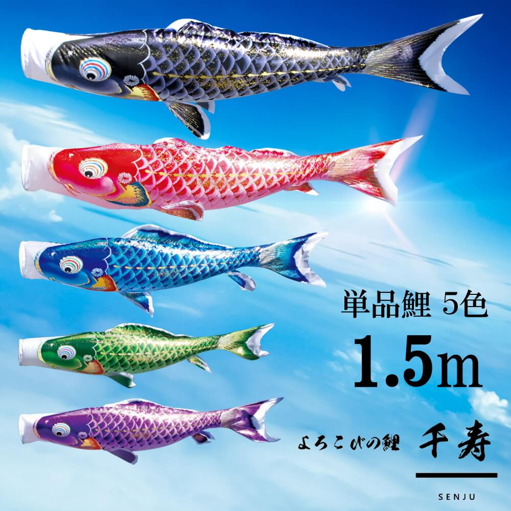 楽天市場】黄金兜鯉の通販