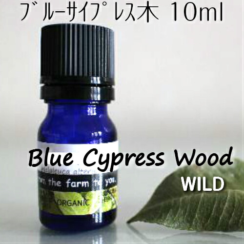 楽天市場】精油 ブルーサイプレスの通販