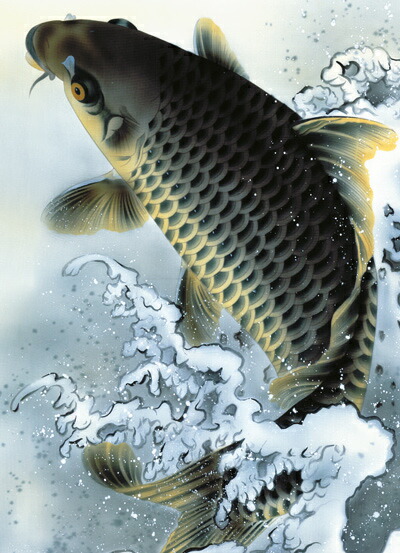 楽天市場】掛け軸／掛軸【鯉】大昇鯉（森山 観月）【送料無料】【代引