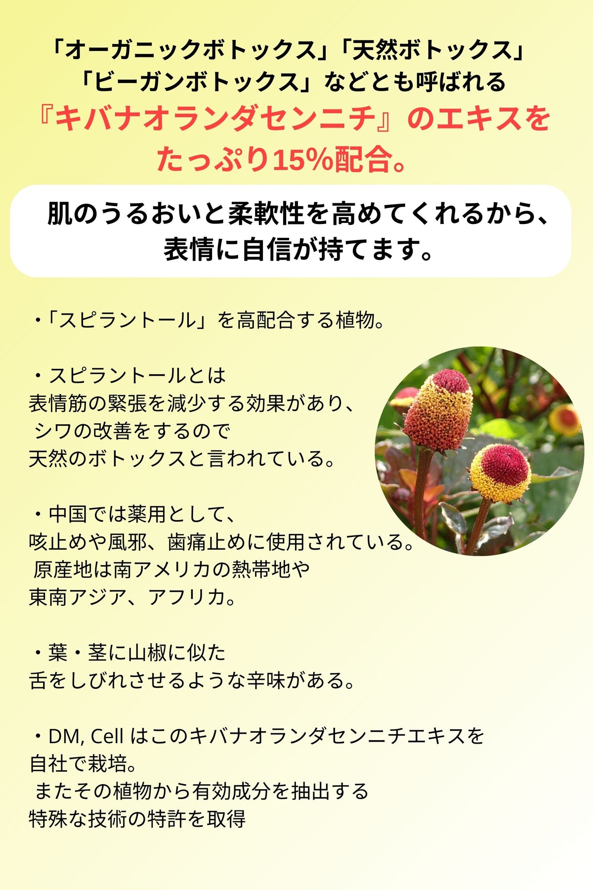 楽天市場】【正規品販売店】DM CELL B.T.X.エッセンジット5% 100ml BTX