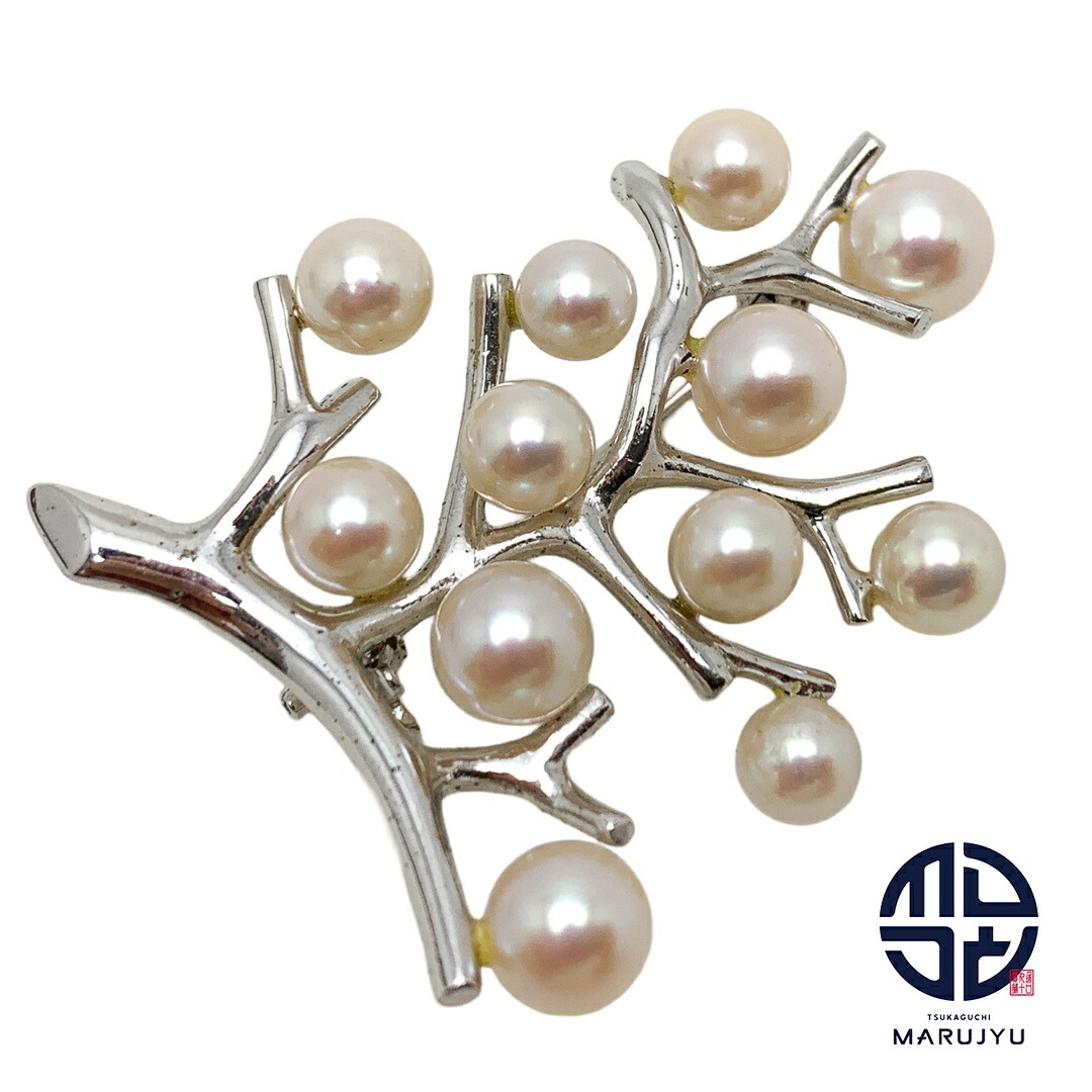 楽天市場】幸福の木（ジュエリー・アクセサリー）の通販