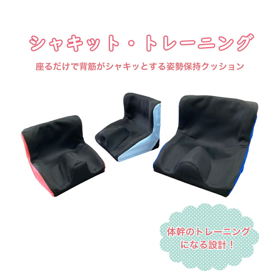楽天市場】シャキット・トレーニング 座位保持 座位 クッション 腰痛