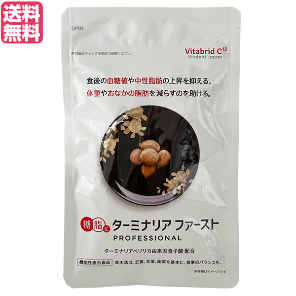 ターミナリアファースト」の人気商品一覧 | 安い商品を通販サイトから