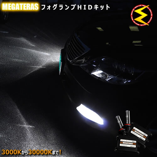 楽天市場】プレジデント g50 フォグの通販