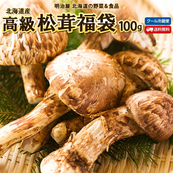松茸 北海道 500g 訳あり ② 国産 matsutake0831_01.jpg