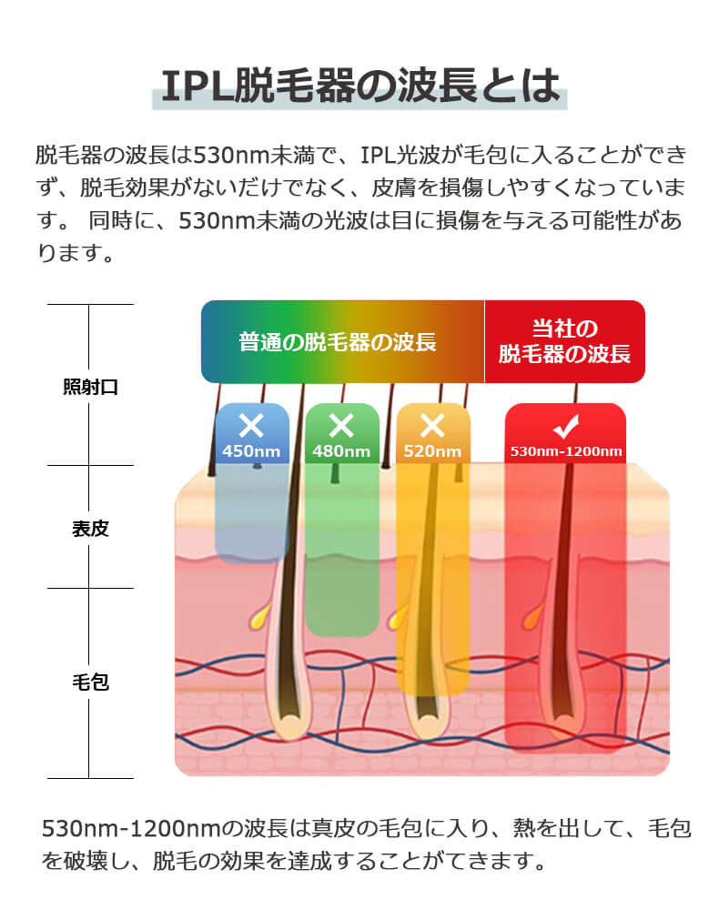 楽天市場】【PSE認証済】脱毛器 家庭用脱毛器 MD-TMY-02 光美容器 美容
