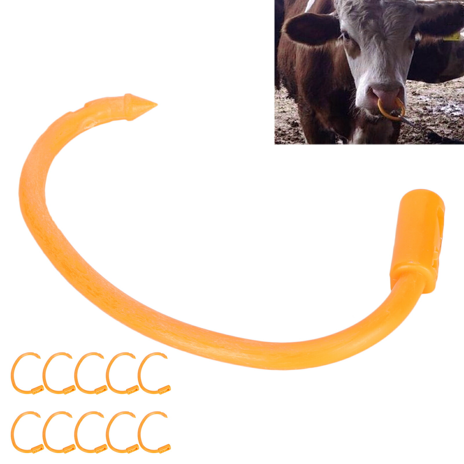 楽天市場】牛用鼻輪 牛用鼻輪 非毒性 : MeiyidouSHOP