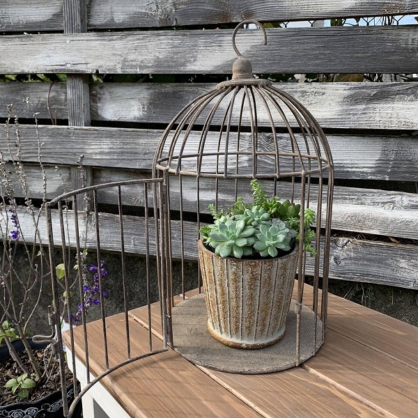 楽天市場】バードケージ ディスプレイ ヴィンティー バードゲージ