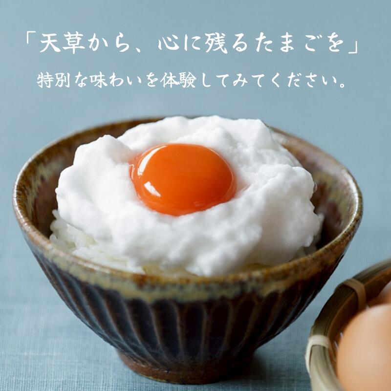 楽天市場】【天草 タマンゴ】メディア話題の高級卵｜マンゴー100％飼料