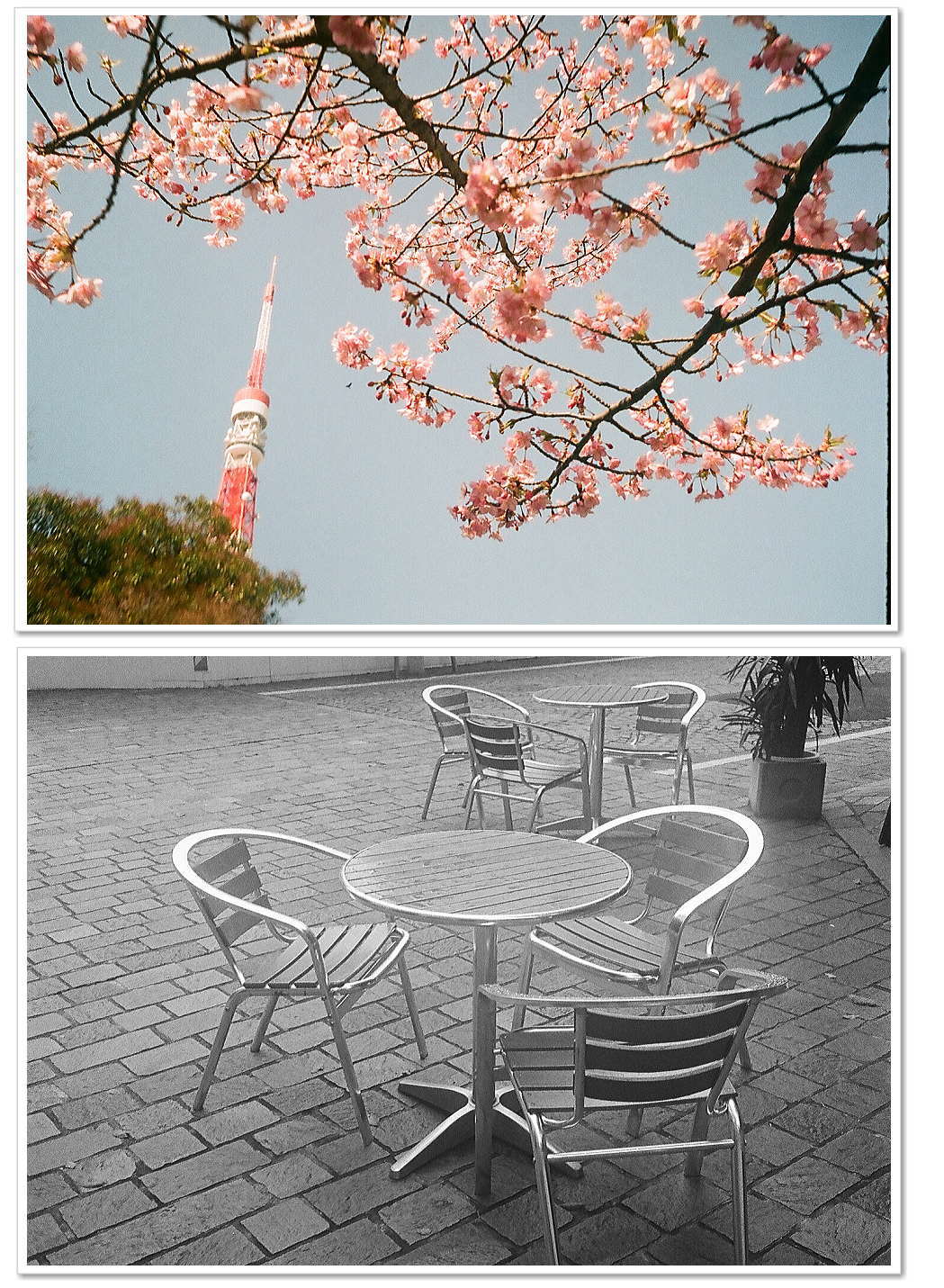 楽天市場】【整備済】【保証付 】 オリンパス OLYMPUS PEN EE-3 S/N