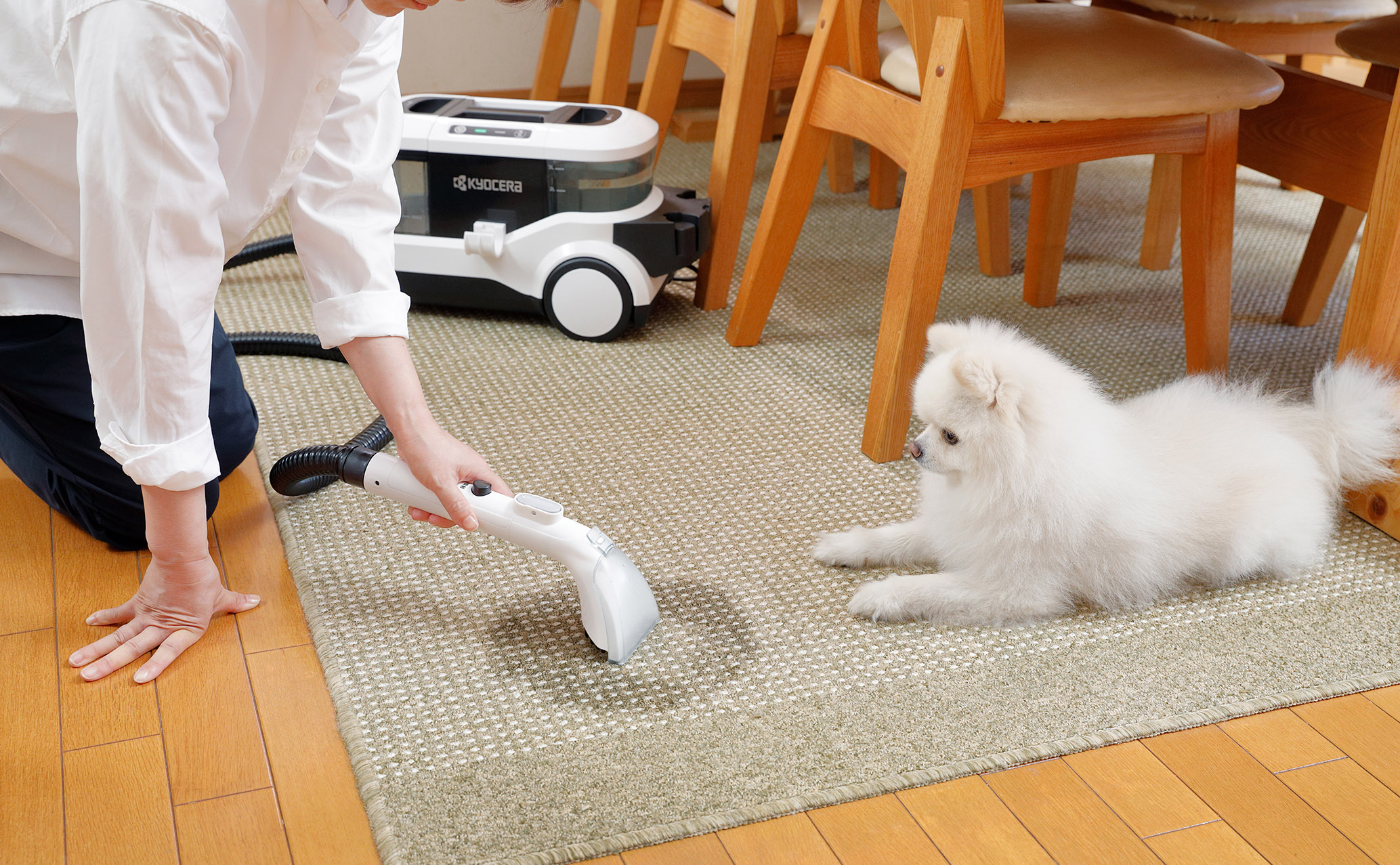 楽天市場】[WEB限定セット]京セラ リンスクリーナー 銀イオン水セット