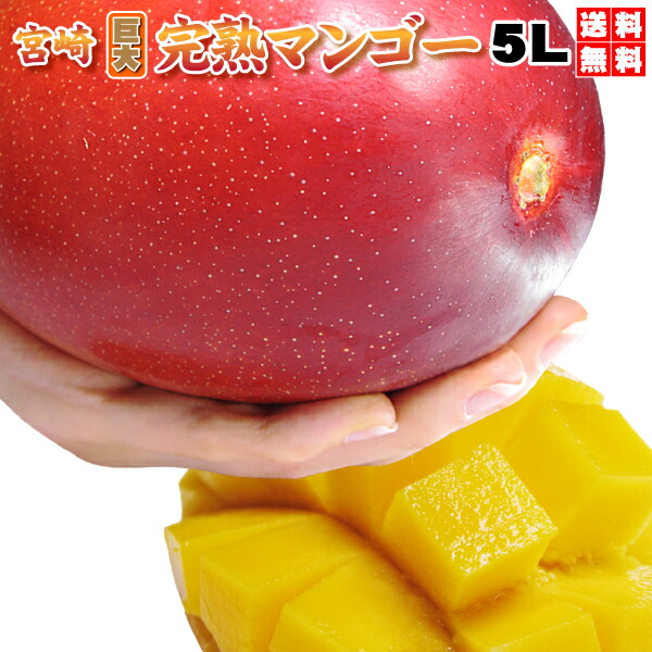 楽天市場】割引クーポン付 プレミアム巨大ジャンボ 宮崎完熟マンゴー