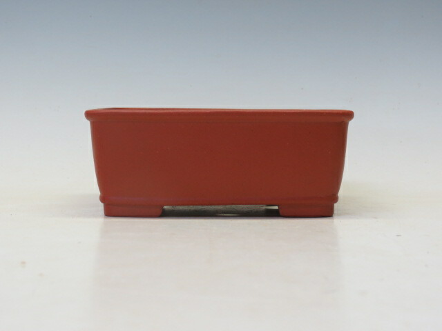 楽天市場】盆栽鉢 柴勝 長方鉢 【作家鉢 常滑焼 日本鉢 盆栽小鉢