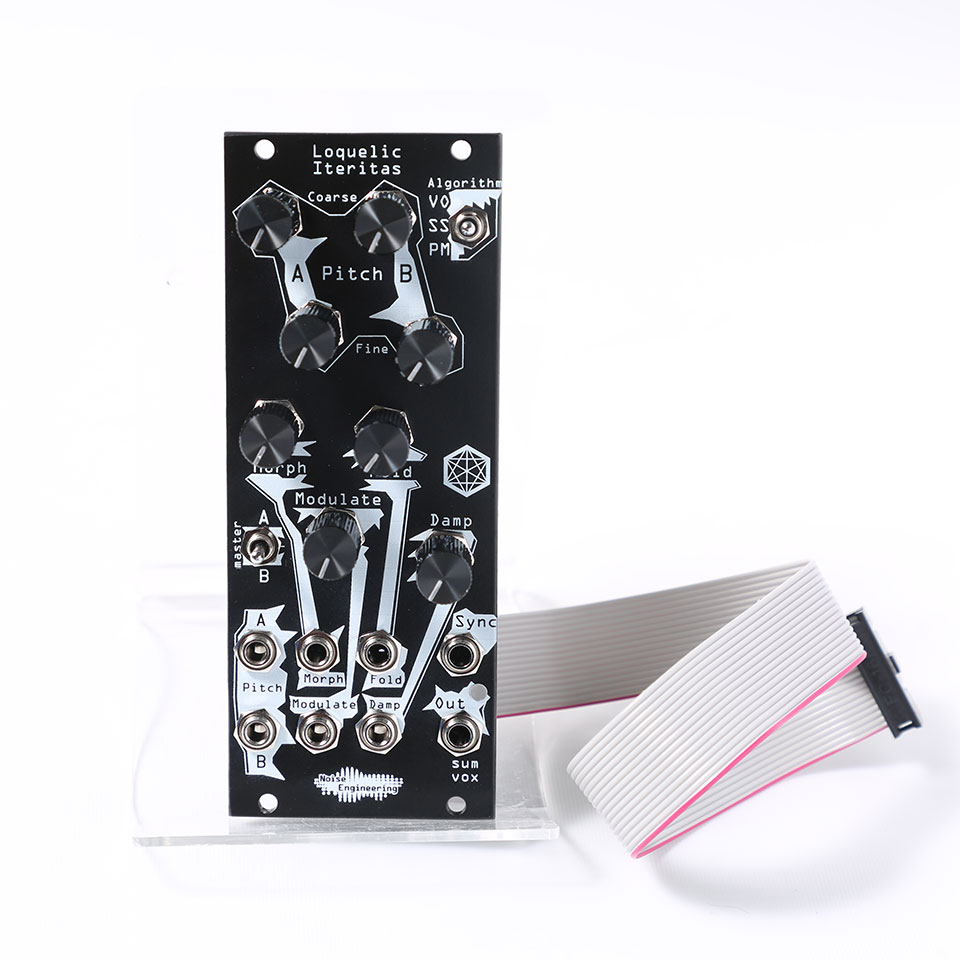 楽天市場】Noise Engineering/Loquelic Iteritas Black【お取り寄せ